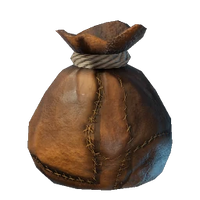 Leather Bag