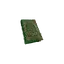 Emergent Vitality