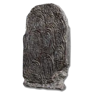 Fingerprint Stone Shield