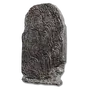 Elden-ring fingerprint-stone-shield.webp