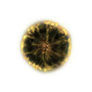 Shadow Realm Rune [6]