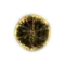 Elden-ring shadow-realm-rune-6.webp