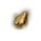 Elden-ring blessed-bone-shard.webp