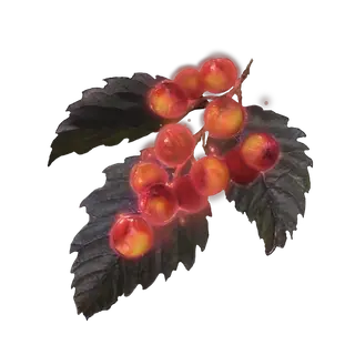 Golden Rowa