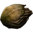 Nordic Barnacle