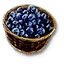 Blueberries