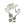 Petrification