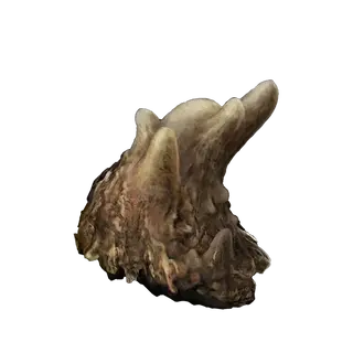 Budding Horn