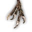 Harpy Talons