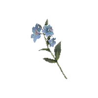 Moonglow