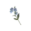 Moonglow