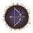 Boltchain Stake