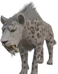 Snow Leopard