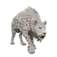 Snow Leopard