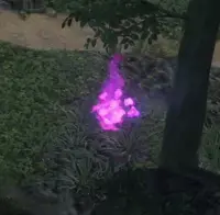 Wisp