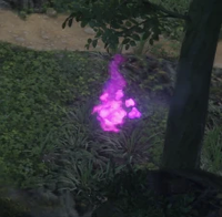 Wisp