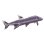 Tetra
