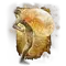 Elden-ring aspects-of-the-crucible-breath.webp