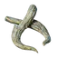 Corrupted Boar Tusk