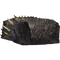 Skyrim Cave Bear Pelt.webp