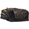 Skyrim Cave Bear Pelt.webp