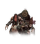 Crones