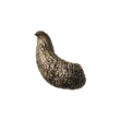 Dragon's Dogma 2 Blackened Horn.webp