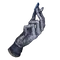 Elden-ring beloved-stardust.webp