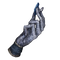 Elden-ring beloved-stardust.webp