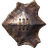 Chitin Shield