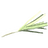 Leek