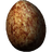 Pine Thrush Egg
