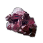 Bryonia