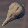 Enshrouded Forest Beet.webp