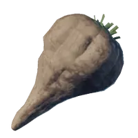 Forest Beet