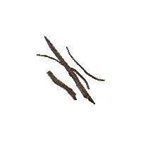 Withered Branches