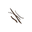 Withered Branches
