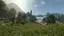 Low Meadows
