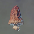 Enshrouded Red Mushroom Seedling.webp