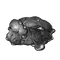 Elden-ring silver-tear-husk.webp