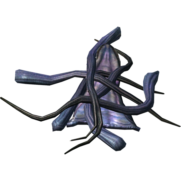 File:Skyrim Netch Leather.webp