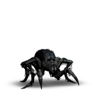 Arachnomorph