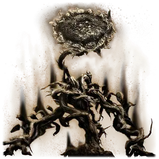 Remembrance of the Shadow Sunflower