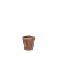 Tiny Plant Pot
