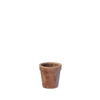 Tiny Plant Pot