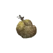 Dragon's Dogma 2 Harspud.webp
