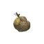 Harspud