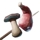 Raw Meat and Mushroom Skewer