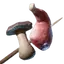 Raw Meat and Mushroom Skewer