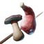 Raw Meat and Mushroom Skewer